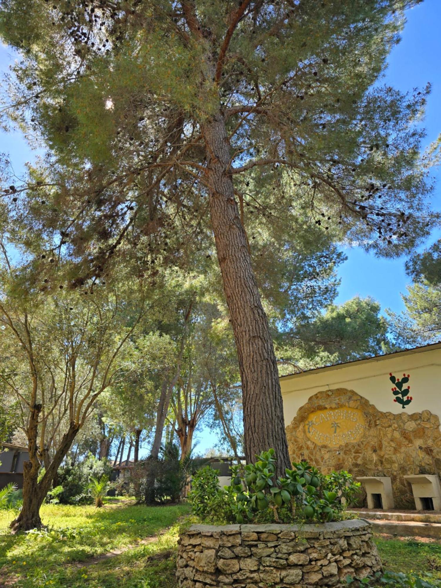 Village Camping Fico D'India Ovile la Marina Exteriér fotografie