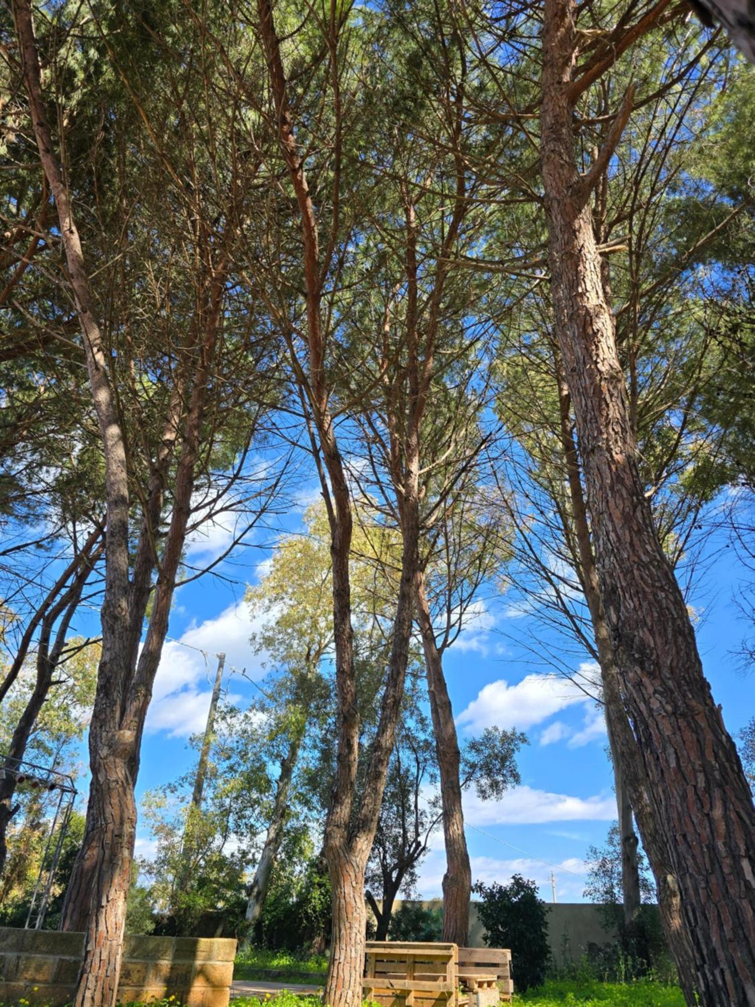 Village Camping Fico D'India Ovile la Marina Exteriér fotografie