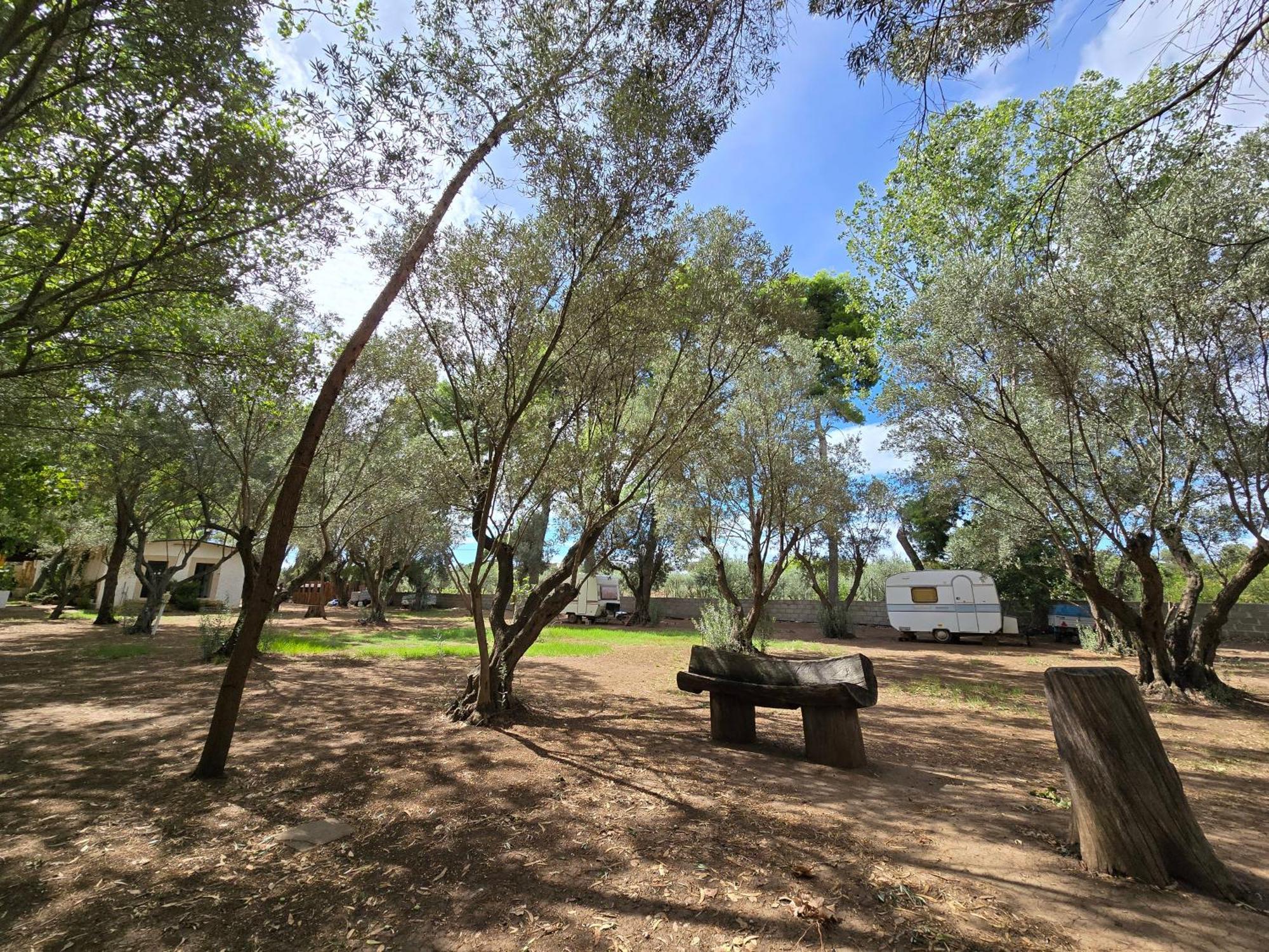 Village Camping Fico D'India Ovile la Marina Exteriér fotografie